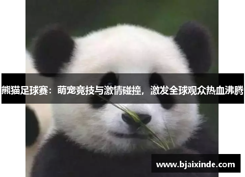 熊猫足球赛:萌宠竞技与激情碰撞,激发全球观众热血沸腾