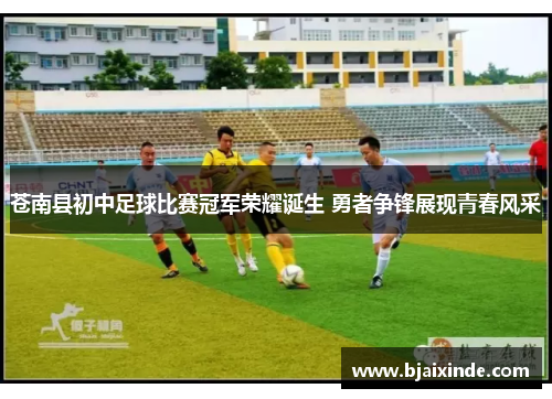 苍南县初中足球比赛冠军荣耀诞生 勇者争锋展现青春风采