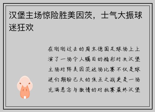 汉堡主场惊险胜美因茨,士气大振球迷狂欢